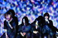 THE NOVEMBERS