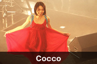 Cocco