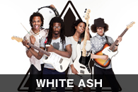 WHITE ASH